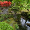 日本庭園の池と緑