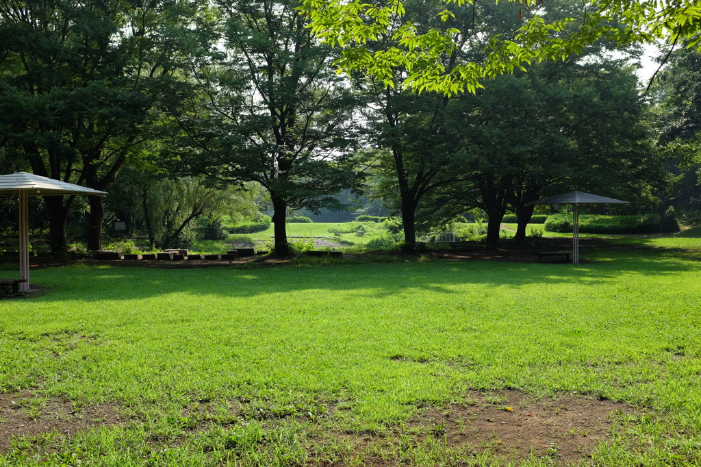 航空公園の緑