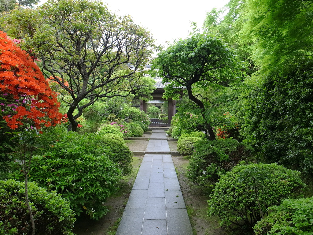 天源院の緑あふれる境内