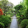 天源院の緑あふれる境内