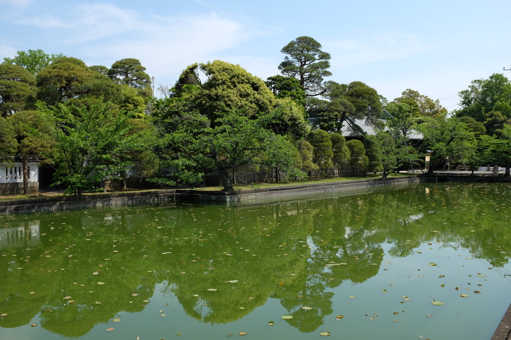 遠山記念館の堀