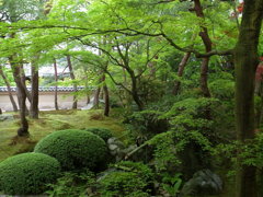 緑あふれる日本庭園