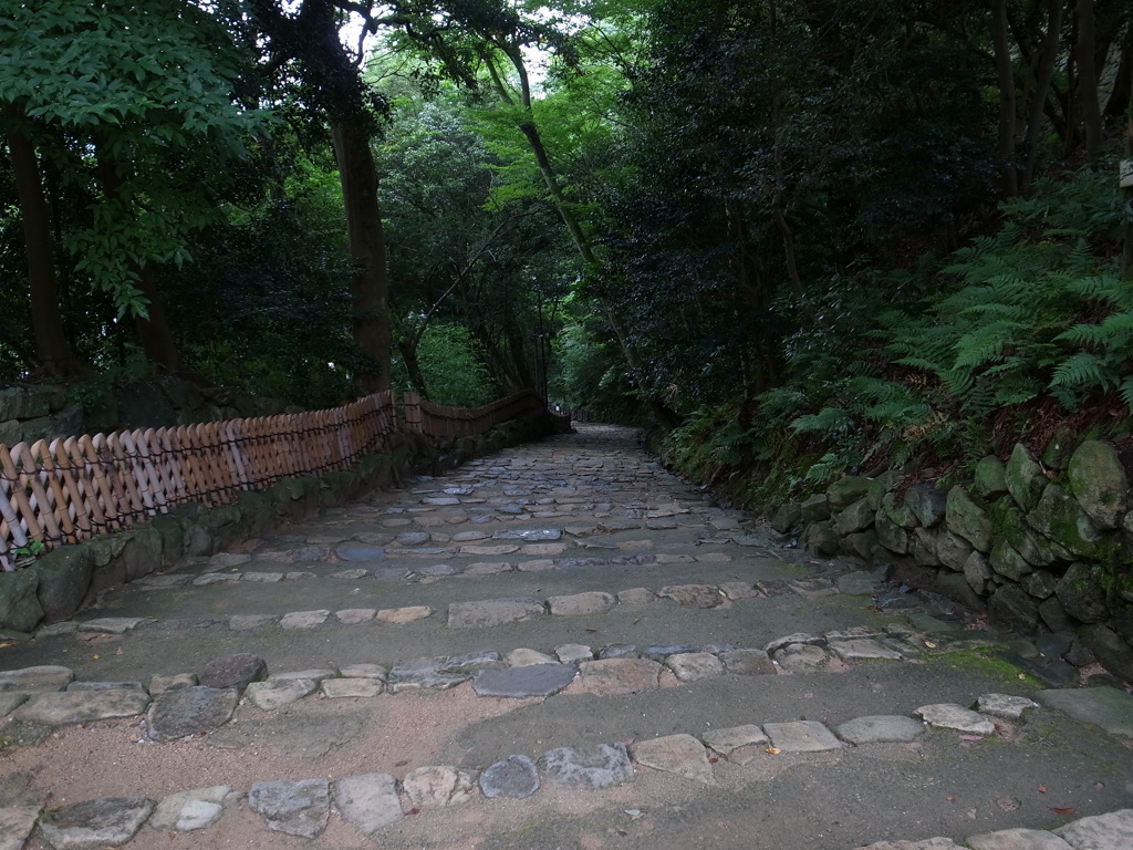 彦根城の石段