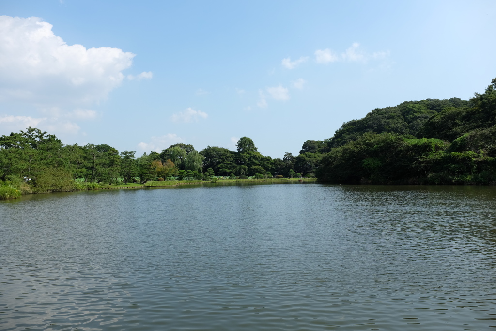 三渓園の大池