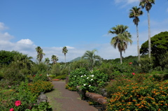 伊豆四季の花公園