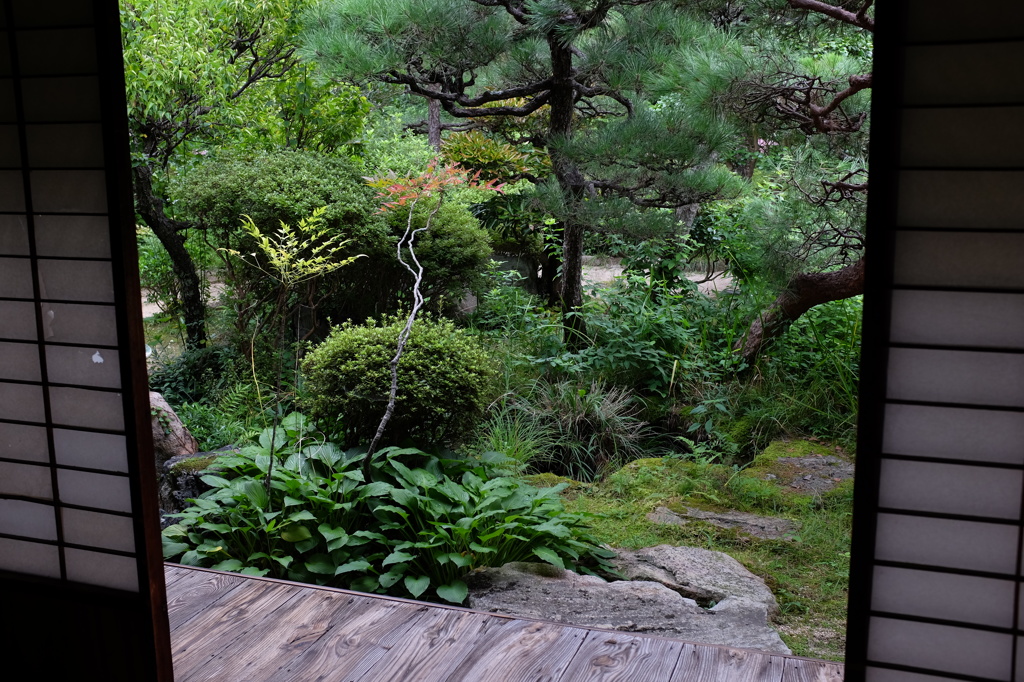 旧折井家の緑あふれる庭