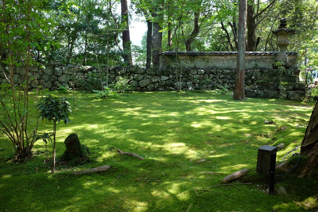 竹林寺の緑あふれる境内