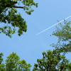 青空と飛行機雲