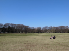 小金井公園の広場と青空