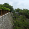 津山城の石垣と緑