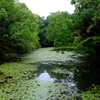 緑あふれる栗林公園