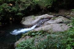 河津川の小さな滝
