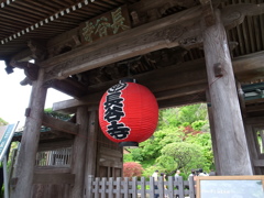 長谷寺の赤い提灯