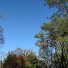冬の青空