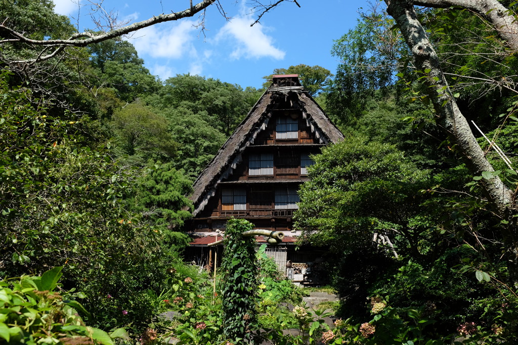 緑の中の合掌造り