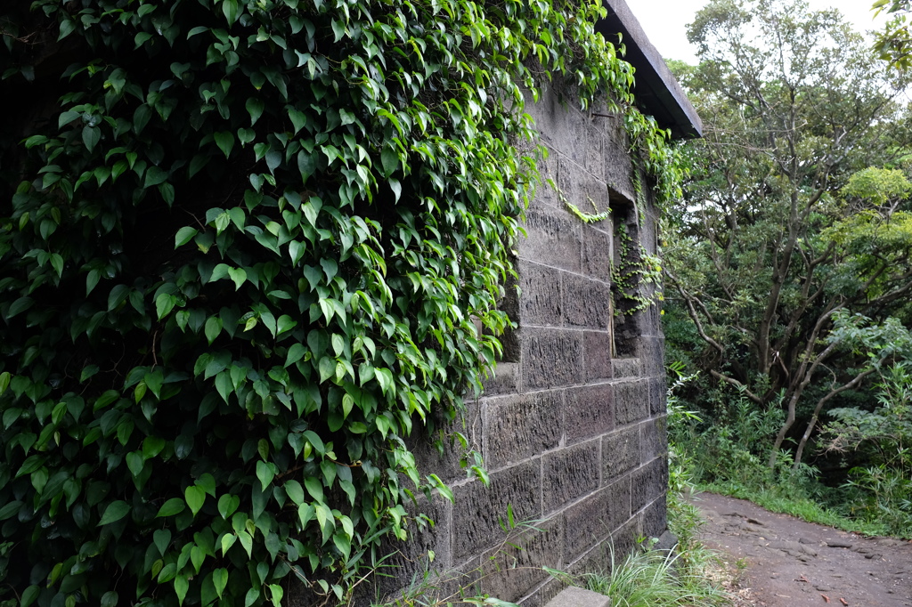 ツタの絡まる小屋