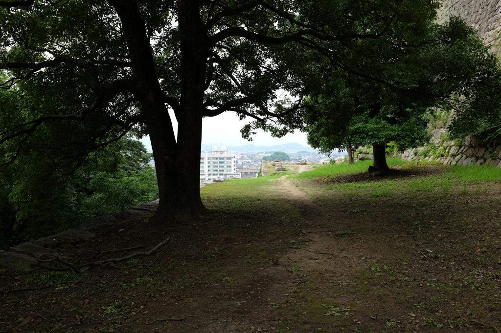 丸亀城と丸亀市街