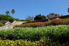 花壇と青空