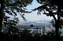 横浜港と横浜市街