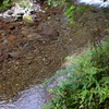 濁りのない川の水