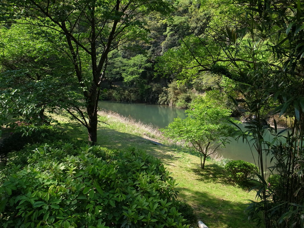 立久恵峡の緑と神戸川