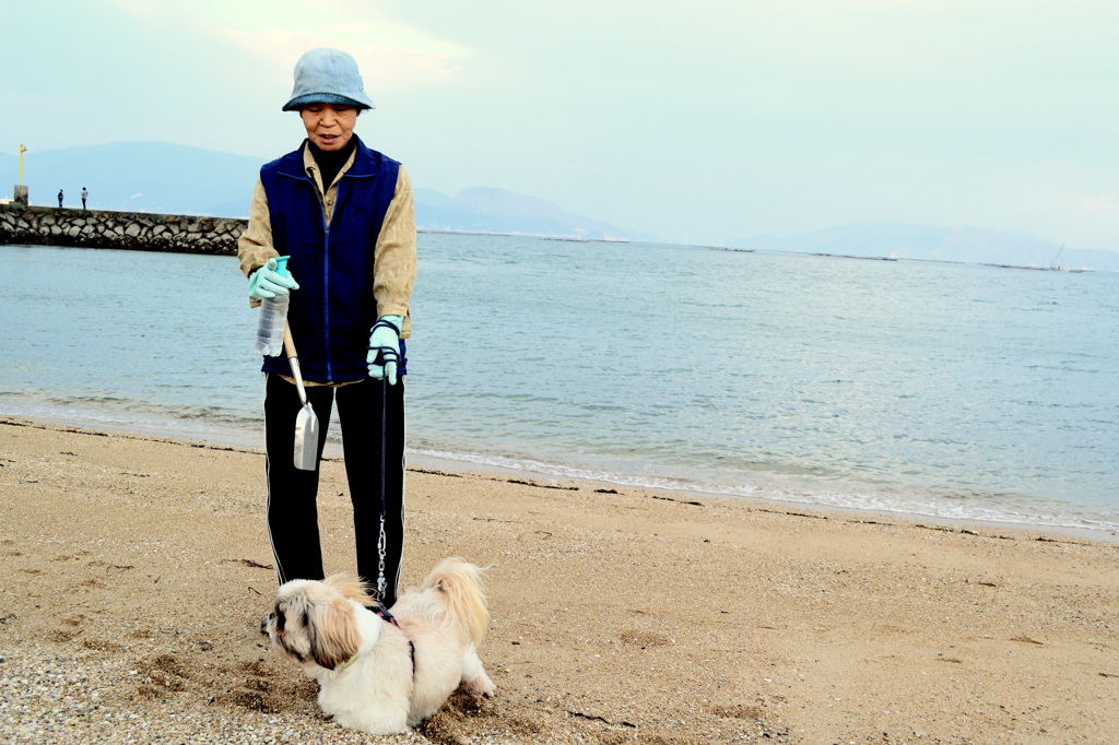 飼い犬散歩中