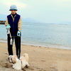 飼い犬散歩中