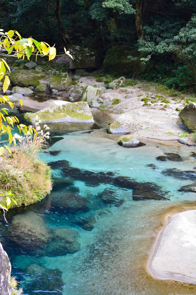 雄川の滝に向かう川2