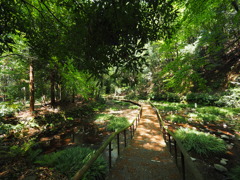 P4230096