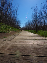 P3310007