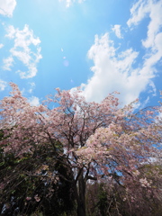 P4140126