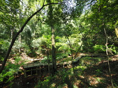 P4230074