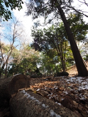 P2050332