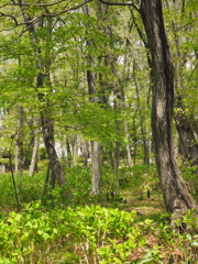 P4140065