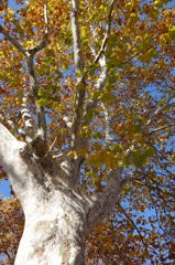 DSC00121