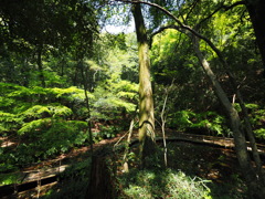 P4230080
