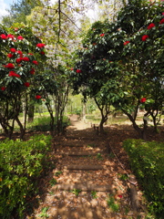 P4140168
