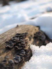 P2240205