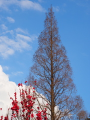 P4040356