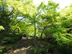 P4230043