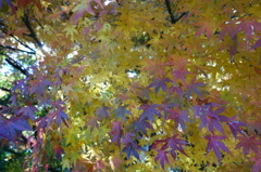 DSC00109