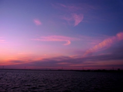 R0011107