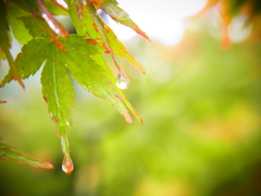 R0010035