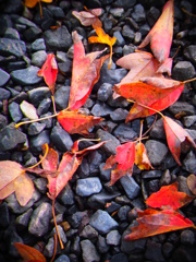 R0010045