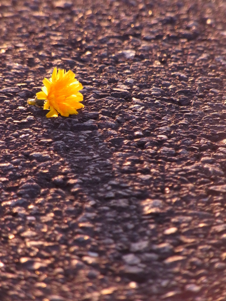 R0010883