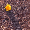 R0010883