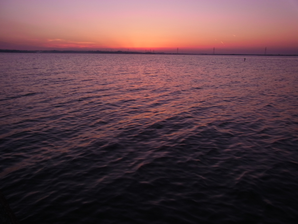 R0010950