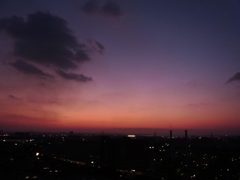 R0010425