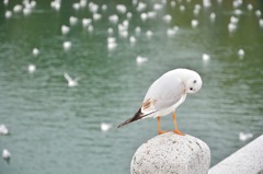 この先端が落ち着くんです