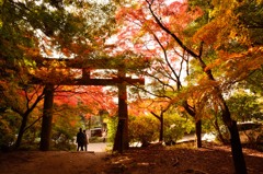 登山口
